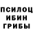 Галлюциногенные грибы Psilocybine cubensis Jilani G