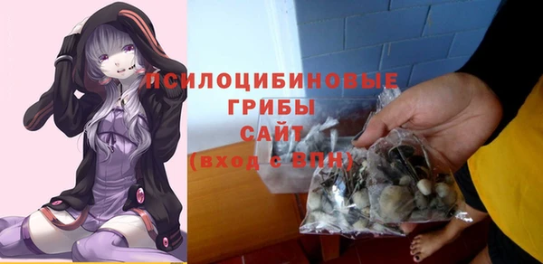 мескалин Арсеньев