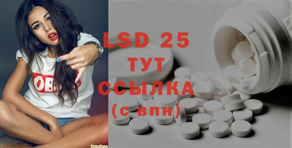 стафф Алзамай