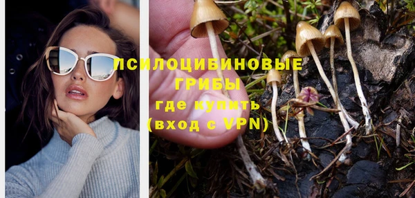 стафф Алзамай