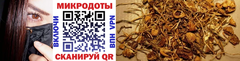 где купить   Хадыженск  Галлюциногенные грибы GOLDEN TEACHER 